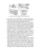 Referāts 'Ūdensapgāde un kanalizācija', 13.