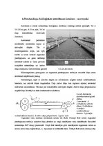 Referāts 'Ūdensapgāde un kanalizācija', 18.