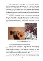 Referāts 'Purva veģetācija', 4.