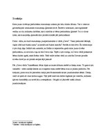 Referāts 'Tradīcija, kas saistīta ar bērna piedzimšanu musulmaņu ģimenē, un tās ietekme so', 6.