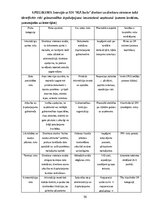 Diplomdarbs 'Ārpakalpojumu grāmatvedības nozares riski un to mazināšanas iespējas', 56.