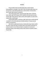 Referāts 'Ķermeņu iespējamās kustības smaguma spēku ietekmē', 3.