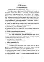 Diplomdarbs 'Apdrošināšanas mārketinga īpatnības', 6.