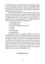 Diplomdarbs 'Apdrošināšanas mārketinga īpatnības', 13.