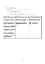 Prakses atskaite 'Aktīvā mācību un audzināšanas prakse pirmsskolā', 12.