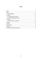 Referāts 'Uztura bagātinātāji', 2.