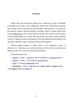 Referāts 'Uztura bagātinātāji', 5.