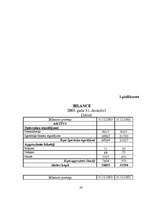 Prakses atskaite 'SIA “Z” finanšu analīze', 28.