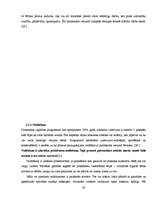 Diplomdarbs 'Rokdarbu iespējas bērna sensorikas attīstībā 3 – 4 gadus veciem bērniem', 34.