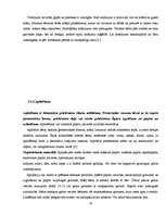 Diplomdarbs 'Rokdarbu iespējas bērna sensorikas attīstībā 3 – 4 gadus veciem bērniem', 37.