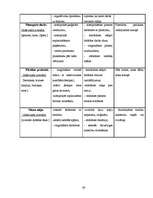 Diplomdarbs 'Rokdarbu iespējas bērna sensorikas attīstībā 3 – 4 gadus veciem bērniem', 60.