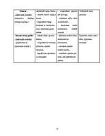 Diplomdarbs 'Rokdarbu iespējas bērna sensorikas attīstībā 3 – 4 gadus veciem bērniem', 61.