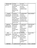 Diplomdarbs 'Rokdarbu iespējas bērna sensorikas attīstībā 3 – 4 gadus veciem bērniem', 63.