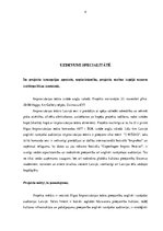 Prakses atskaite 'Prakses atskaite par Rīgas Improvizācijas teātri', 4.