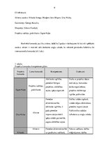 Prakses atskaite 'Prakses atskaite par Rīgas Improvizācijas teātri', 6.