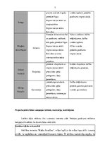 Prakses atskaite 'Prakses atskaite par Rīgas Improvizācijas teātri', 7.