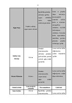 Prakses atskaite 'Prakses atskaite par Rīgas Improvizācijas teātri', 13.