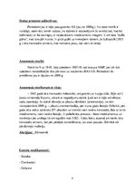 Prakses atskaite 'Pacienta slimības vēsture internajās slimībās', 2.