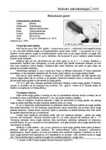 Referāts 'Dažas patogēnās baktērijas', 1.
