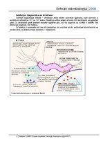 Referāts 'Dažas patogēnās baktērijas', 2.