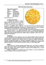 Referāts 'Dažas patogēnās baktērijas', 4.