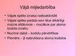 Prezentācija 'Elementārdaļiņas, fundamentālās daļiņas un fundamentālās mijiedarbības', 14.