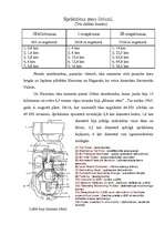 Referāts 'Kodolieroči', 4.