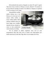 Referāts 'Kodolieroči', 5.