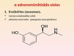 Prezentācija 'Adrenomimētiskie līdzekļi', 4.