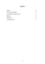 Eseja 'Dzimumdiskriminācija', 2.