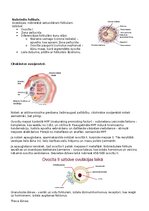 Konspekts 'RSU Molekulārā un šūnu bioloģija 2. kolokvijam vajadzīgais konspekts', 11.