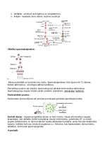 Konspekts 'RSU Molekulārā un šūnu bioloģija 2. kolokvijam vajadzīgais konspekts', 12.