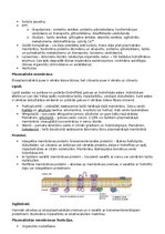 Konspekts 'RSU Molekulārā un šūnu bioloģija 2. kolokvijam vajadzīgais konspekts', 16.