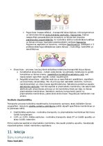 Konspekts 'RSU Molekulārā un šūnu bioloģija 2. kolokvijam vajadzīgais konspekts', 19.