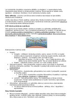 Konspekts 'RSU Molekulārā un šūnu bioloģija 2. kolokvijam vajadzīgais konspekts', 20.