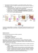 Konspekts 'RSU Molekulārā un šūnu bioloģija 2. kolokvijam vajadzīgais konspekts', 21.