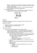 Konspekts 'RSU Molekulārā un šūnu bioloģija 2. kolokvijam vajadzīgais konspekts', 22.