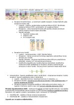 Konspekts 'RSU Molekulārā un šūnu bioloģija 2. kolokvijam vajadzīgais konspekts', 23.