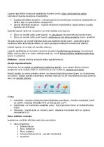 Konspekts 'RSU Molekulārā un šūnu bioloģija 2. kolokvijam vajadzīgais konspekts', 24.