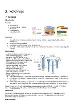Konspekts 'RSU Molekulārā un šūnu bioloģija 2. kolokvijs', 1.