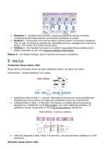 Konspekts 'RSU Molekulārā un šūnu bioloģija 2. kolokvijs', 4.