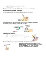 Konspekts 'RSU Molekulārā un šūnu bioloģija 2. kolokvijs', 14.