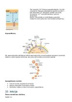 Konspekts 'RSU Molekulārā un šūnu bioloģija 2. kolokvijs', 15.
