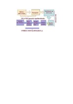 Konspekts 'RSU Molekulārā un šūnu bioloģija 2. kolokvijs', 25.