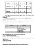 Prakses atskaite 'Spinālā pacienta vēsture', 6.