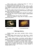 Referāts 'Šķiedras', 8.