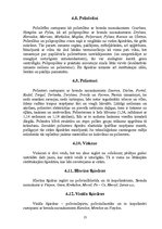 Referāts 'Šķiedras', 13.