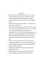 Referāts 'Elektroniskās naudas ieviešanas ietekme uz centrālajām bankām', 13.