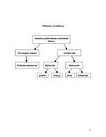 Referāts 'Jauniešu pašvērtējuma veidošanās faktori ', 5.