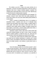 Referāts 'Kultūras ietekme tēla veidošanā', 2.